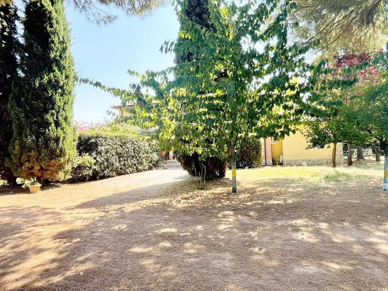 Appartement Turfrose Di San Rossore A Pisa By Zoom In Earth Italie