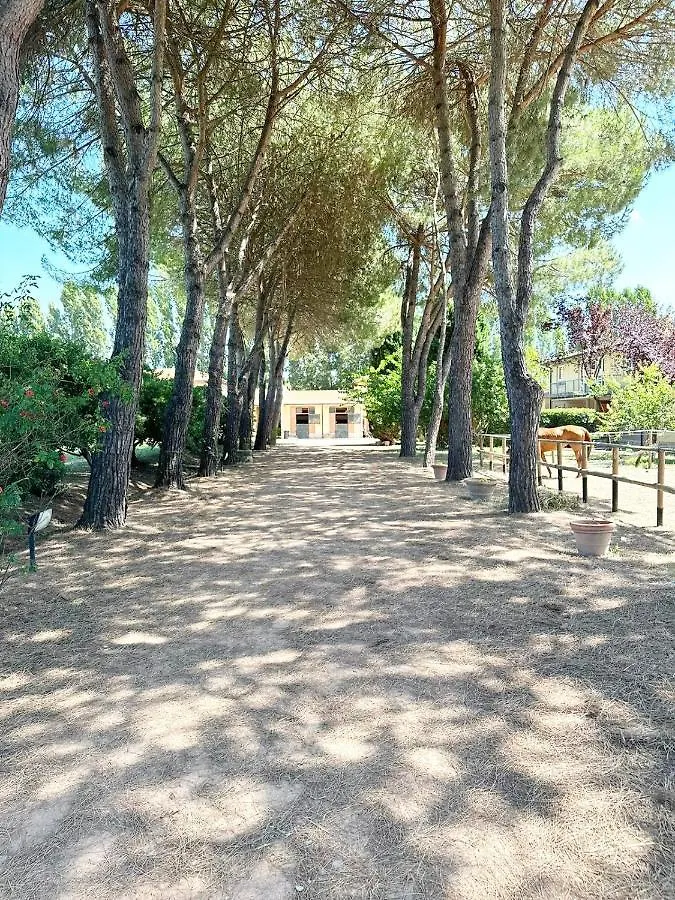 Turfrose Di San Rossore A Pisa By Zoom In Earth